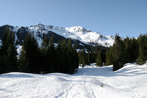 Sonnberg und Brensteigkopf