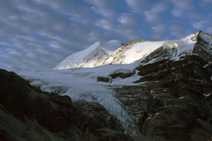 Bishorn