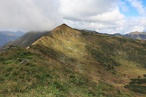 Großes Bärneck