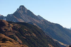 Biberkopf aus Westen