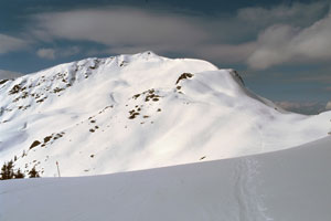 Brechhorn-Ostrücken