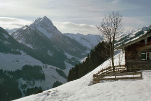 Duracher Alm und Großer Rettenstein