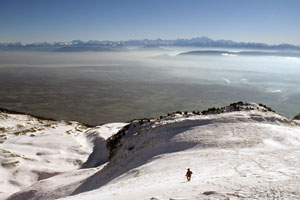 Der Alpenbogen