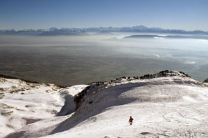 Der Alpenbogen