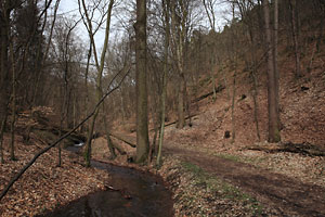 Wildensteiner Tal