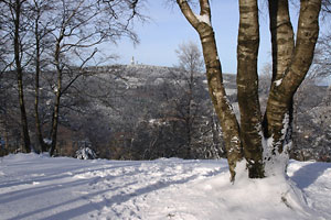 Groer Feldberg aus SO vom Altknig