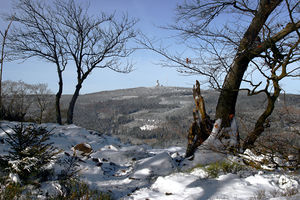 Groer Feldberg aus OSO