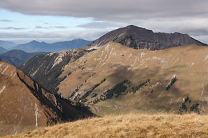 Schafreuter aus Sdosten