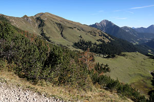 Galtjoch