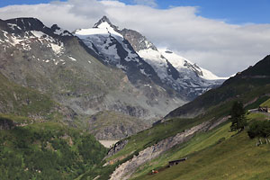 Großglockner