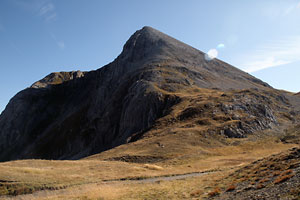 Grießkopf