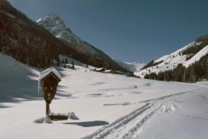 Im Tal am Weg zur Hintenbachalm