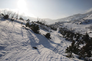 Am Weg zum Grubenjoch