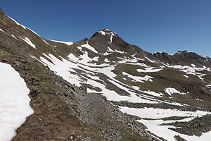 Großer Schafkopf