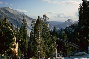 Half Dome