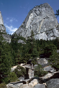 Liberty Cap