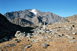 Tarscher Pass