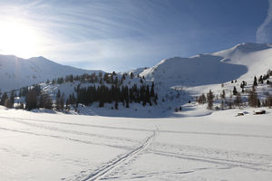 Nahe der Steiner Alm