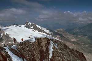 Schneebiger Nock