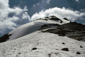 Schneebiger Nock