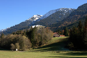 Rindalphorn
