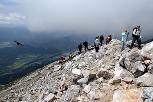 Hochstuhl, Gipfel