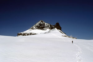 Hockenhorn
