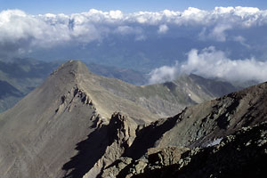 Bauernbrachkopf