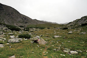 Am Weg zum Tellerjoch