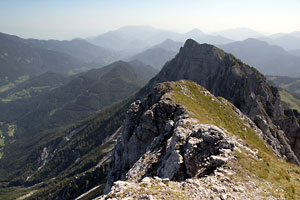 Dicke Koschuta / Tolsta Košuta