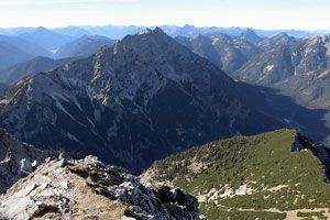 Geierköpfe