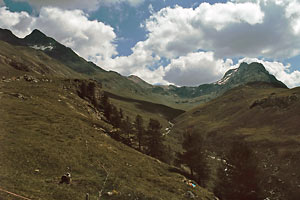 Piz Languard und Piz Albris