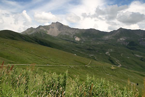 Le Cheval Noir