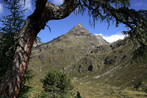 Gldisspitze