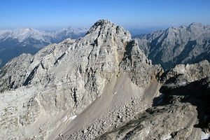 Groes Ochsenhorn