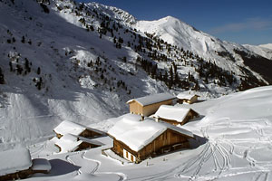 Am Viertelalm-Niederleger