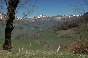 Puy Mary