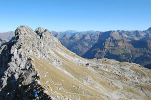 Wengenköpfe