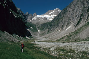 Nesthorn von Süden
