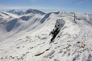 Niederer Berg, Gipfelkreuz