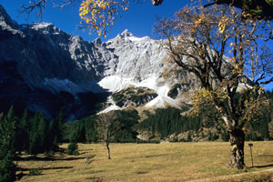 Kleiner Ahornboden mit Birkkarspitze