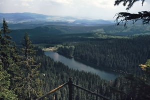 Blick auf den Plckensteinsee