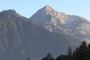 Polinik