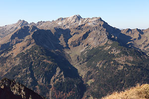 Großer Daumen