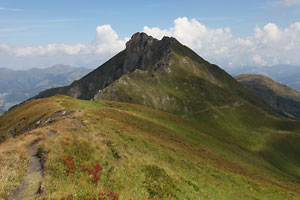 Hirschkopf