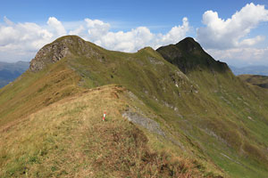 Baukogel