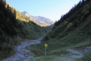 Tal des lpelesbach