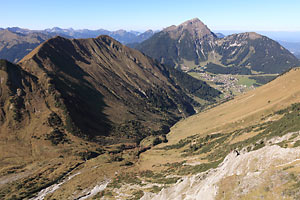 Hönig und Thaneller