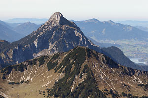 Säuling aus Osten