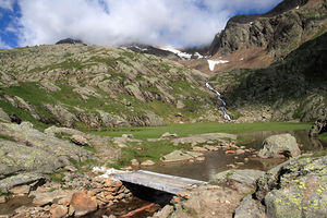 Stubensee